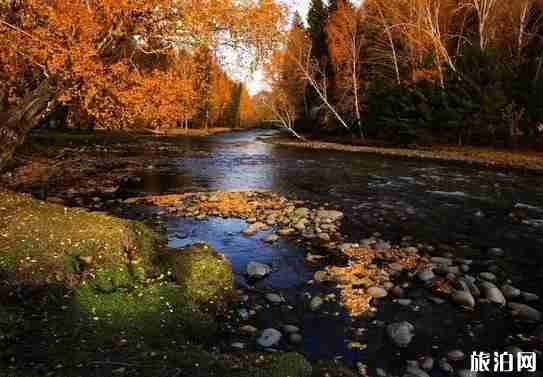 古爾邦節(jié)2018是哪天 古爾邦節(jié)去哪里旅游