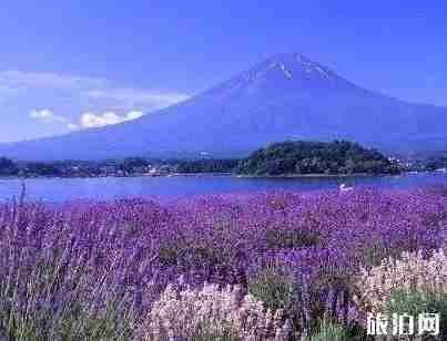 古爾邦節(jié)2018是哪天 古爾邦節(jié)去哪里旅游