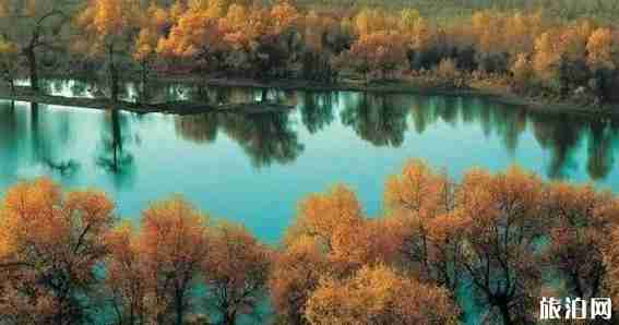 古爾邦節(jié)2018是哪天 古爾邦節(jié)去哪里旅游