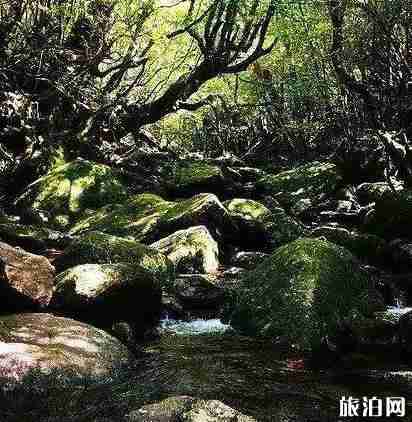 《一出好戲》取景地 取景海島介紹 《一出好戲》取景地 取景海島介紹