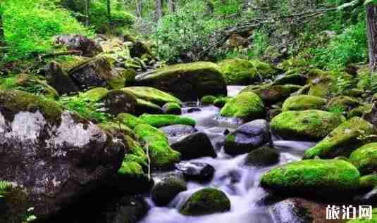 雅安寶康路 川西自駕游新通路線