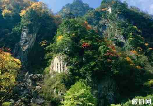 雅安寶康路 川西自駕游新通路線