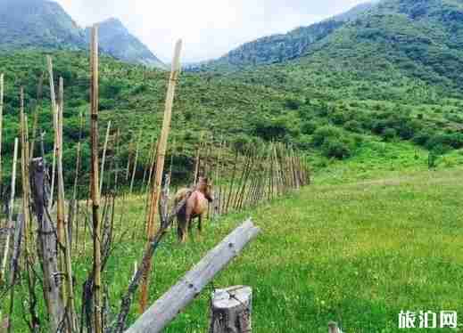 雅安寶康路 川西自駕游新通路線