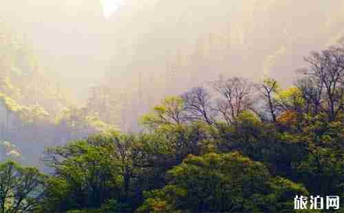 雅安寶康路 川西自駕游新通路線