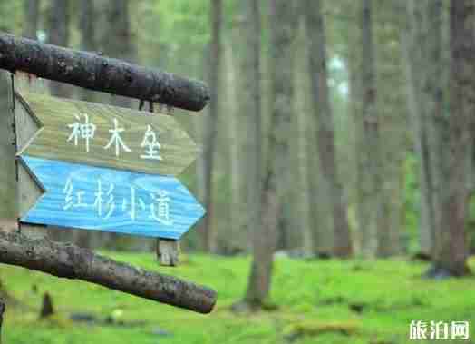 雅安寶康路 川西自駕游新通路線