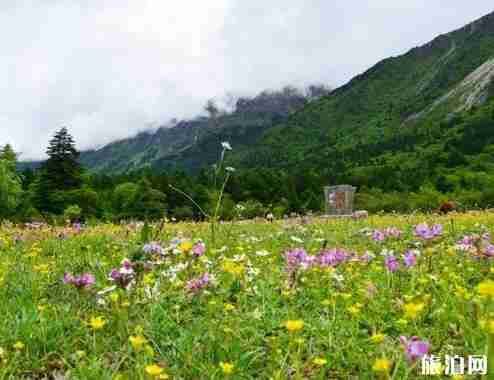 雅安寶康路 川西自駕游新通路線
