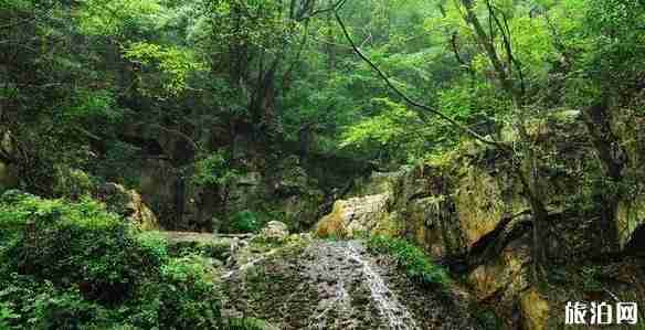湖北鐘祥屬于哪個市 湖北鐘祥旅游景點介紹 湖北鐘祥屬于哪個市 湖北鐘祥旅游景點介紹