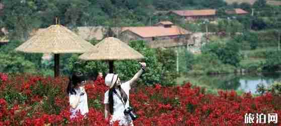 湖北鐘祥屬于哪個市 湖北鐘祥旅游景點介紹 湖北鐘祥屬于哪個市 湖北鐘祥旅游景點介紹