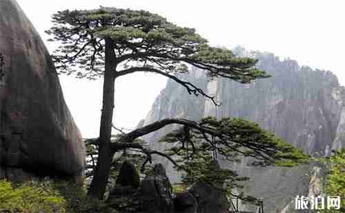 黄山市旅游景点人气排名 各景区景点门票一览 黄山市旅游景点人气排名 各景区景点门票一览