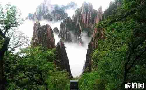 黃山市景區免費 黃山市景區免費的有哪些