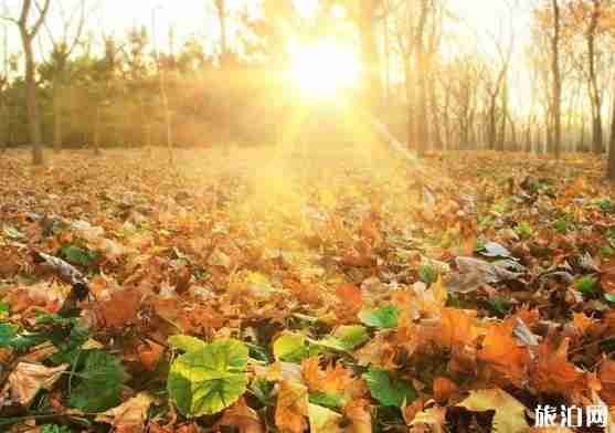 四明山有什么好玩的 四明山游玩線路介紹 四明山有什么好玩的 四明山游玩線路介紹