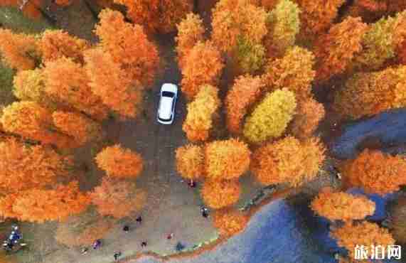 四明山有什么好玩的 四明山游玩線路介紹 四明山有什么好玩的 四明山游玩線路介紹