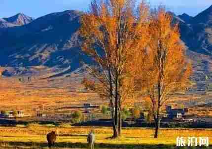 巴松措在哪里 巴松措海拔多少米 巴松措的景點有哪些 巴松措在哪里 巴松措海拔多少米 巴松措的景點有哪些