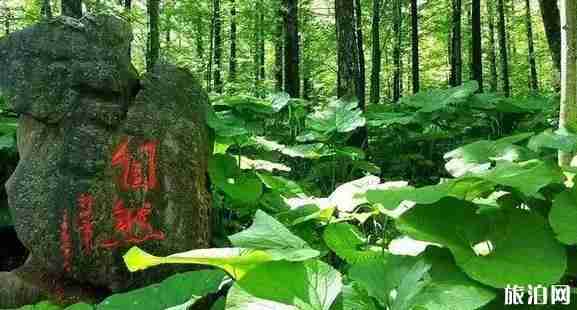 嵩縣免費景點大全 嵩縣免費景點推薦