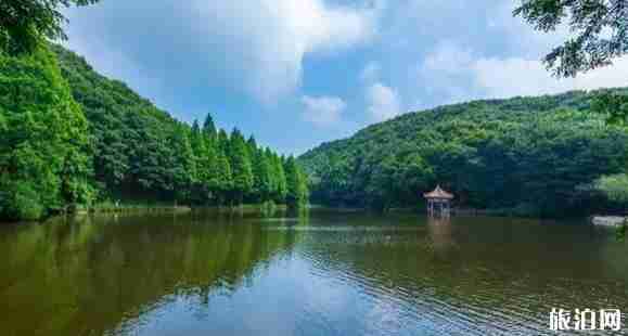 嵩縣免費景點大全 嵩縣免費景點推薦