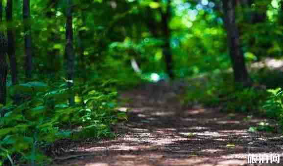 嵩縣免費景點大全 嵩縣免費景點推薦