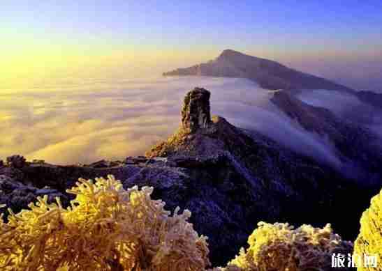 梵凈山游玩攻略 梵凈山住哪里好