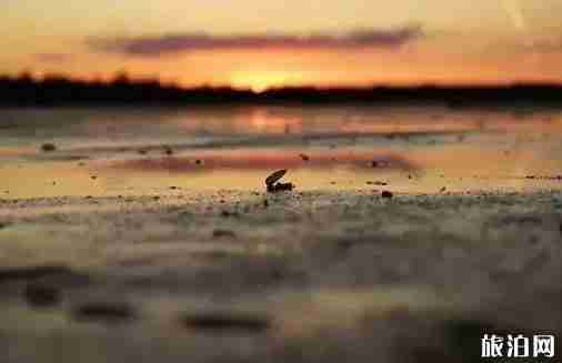 官湖村游玩攻略