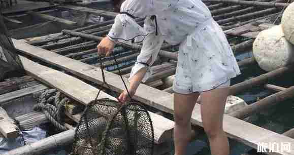 我們來了東山島拍攝地在哪里 我們來了東山島拍攝介紹 我們來了東山島拍攝地在哪里 我們來了東山島拍攝介紹