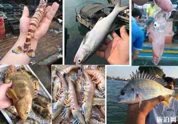 我們來了東山島拍攝地在哪里 我們來了東山島拍攝介紹 我們來了東山島拍攝地在哪里 我們來了東山島拍攝介紹