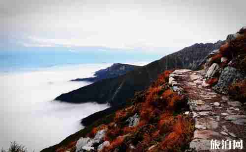 太白山索道多少钱2018 太白山有几个索道 太白山索道多少钱2018 太白山有几个索道