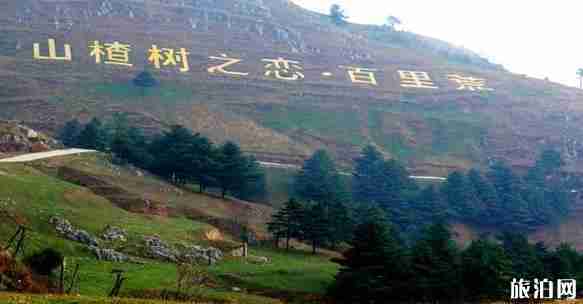 宜昌百里荒山楂树之地 山楂树之恋拍摄地