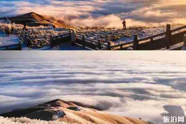 武功山住帳篷多少錢 武功山住帳篷要帶什么東西