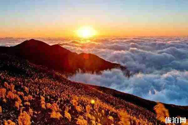 武功山住帳篷多少錢 武功山住帳篷要帶什么東西