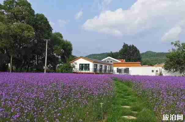 北京延慶民宿推薦 北京延慶民宿推薦