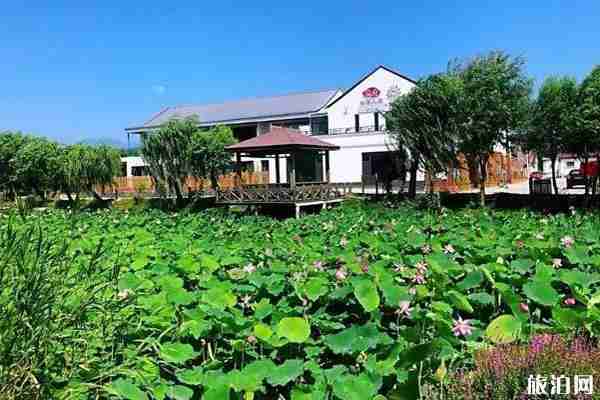 北京延慶民宿推薦 北京延慶民宿推薦