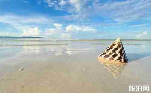 乘飛機行李丟失怎么辦 乘飛機行李丟失怎么辦