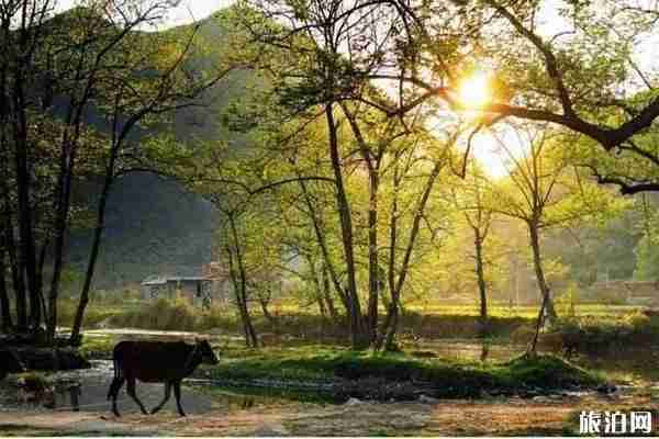 杭州富陽附近哪里有好的民宿