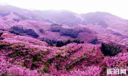 仙劍是在仙都取景的嗎 浙江仙都仙劍取景地 仙劍是在仙都取景的嗎 浙江仙都仙劍取景地