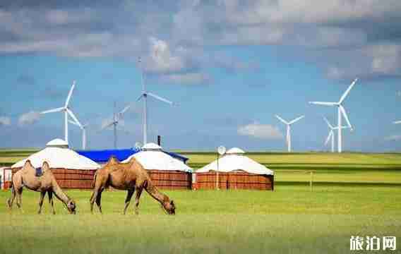 中俄邊境有公路嗎 可以自駕游游玩嗎