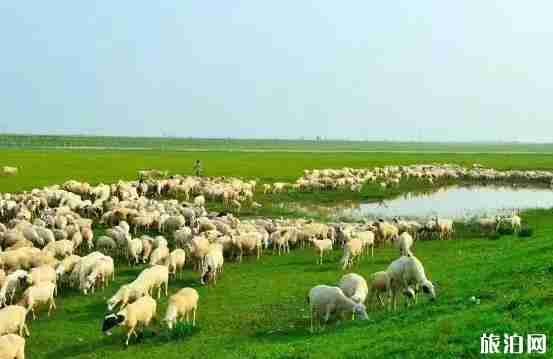 中俄邊境有公路嗎 可以自駕游游玩嗎