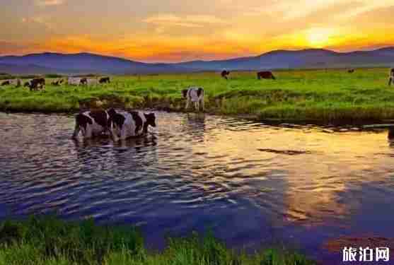 中俄邊境有公路嗎 可以自駕游游玩嗎