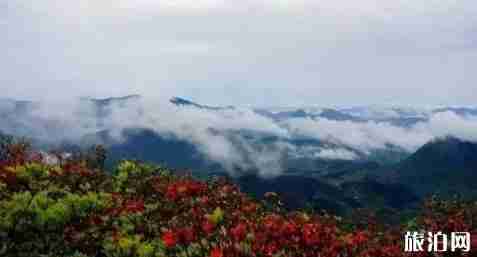 浙江麗水遂昌旅游景點推薦