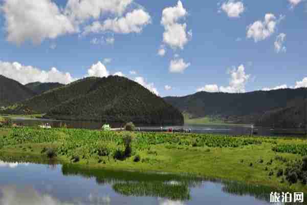 云南普達措國家公園住宿推薦