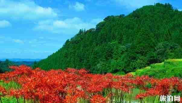 9月日本旅游攻略 9月日本旅游攻略