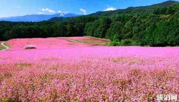 9月日本旅游攻略 9月日本旅游攻略