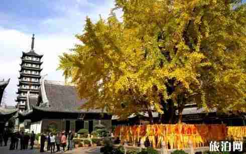 上海真如古鎮(zhèn)有什么好玩的 上海真如古鎮(zhèn)景點介紹