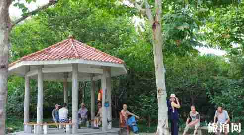 上海真如古鎮(zhèn)有什么好玩的 上海真如古鎮(zhèn)景點介紹