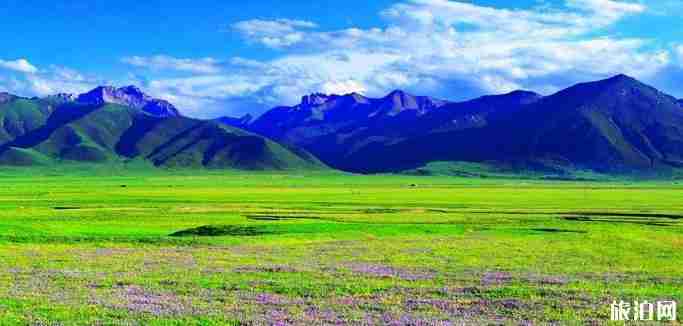 成都到拉薩10日游旅游路線推薦 成都到拉薩10日游旅游路線推薦