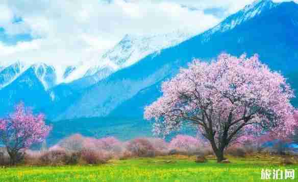 成都到拉薩10日游旅游路線推薦 成都到拉薩10日游旅游路線推薦