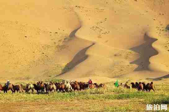 京新高速沿途景點有哪些 京新高速沿途景點推薦