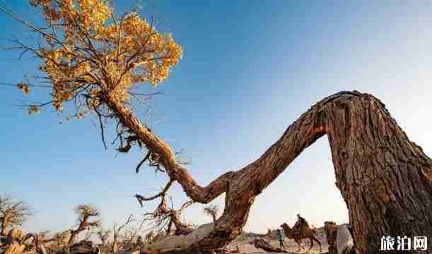 京新高速沿途景點有哪些 京新高速沿途景點推薦