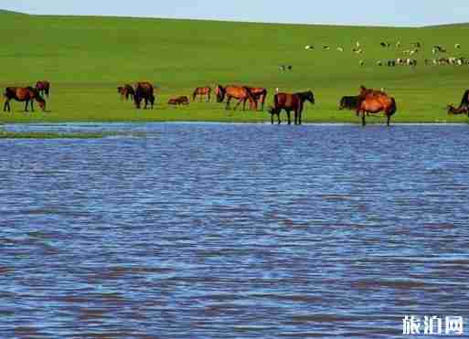 天津到北極村自駕游 景點+線路推薦