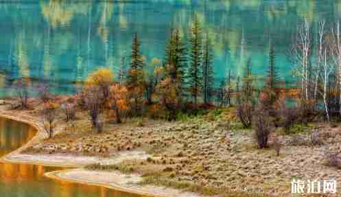 喀納斯景區門票優惠 喀納斯景區景點介紹 喀納斯景區門票優惠 喀納斯景區景點介紹