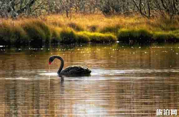 碟中諜6取景地盤點(diǎn) 碟中諜6取景地盤點(diǎn)