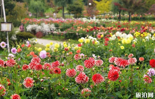 日本東北有哪些城市 日本東北城市景點推薦 日本東北有哪些城市 日本東北城市景點推薦